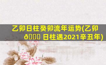 乙卯日柱癸卯流年运势(乙卯 🐈 日柱遇2021辛丑年)